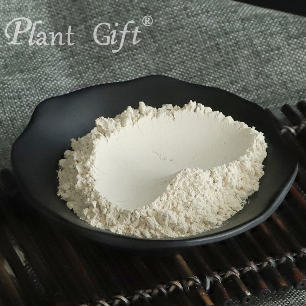 Plant Gift 100% Pure Angelica Dahurica Powder ??? Natural Angelica Flour, Dong Quai Root Powder for Drinks, Adds Flavor and Taste Non-GMO Powder, No