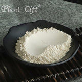Plant Gift 100% Pure Angelica Dahurica Powder ??? Natural Angelica Flour, Dong Quai Root Powder for Drinks, Adds Flavor and Taste Non-GMO Powder, No