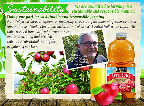 Langers 100% Juice, Apple, 101.4 Fl Oz (Pack of 4)