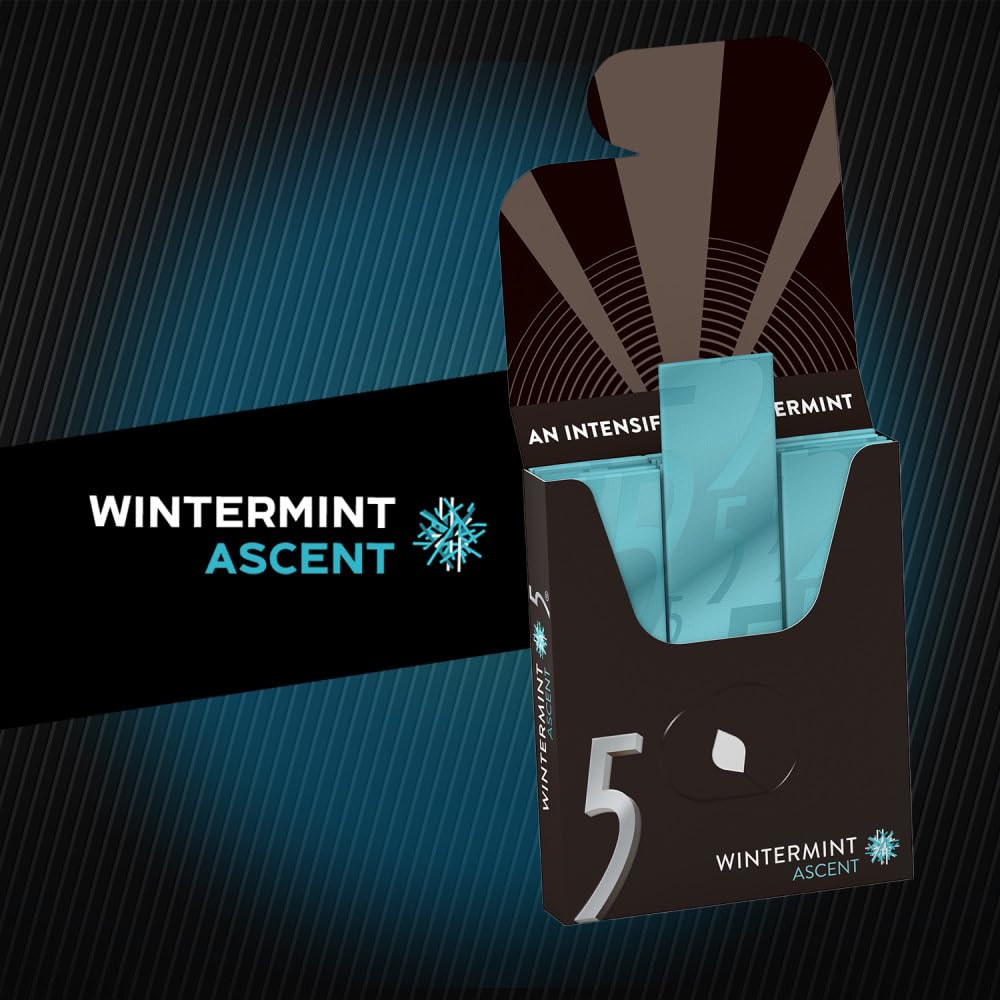 5 GUM Wintermint Ascent Sugar Free Chewing Gum Refreshing Chilling Minty Flavor Five Gum, 15 Stick (10 Pack)