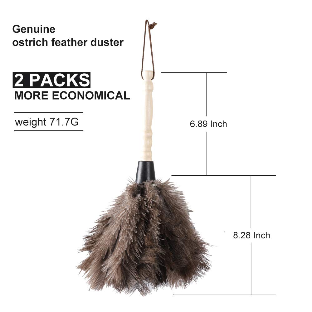 Midoneat Natural Gray Ostrich Feather Duster,2 Packs,Car Duster Interior/Exterior Cleaner, Cleaning for Blinds Kitchen Keyboard Office, Smart and Soft
