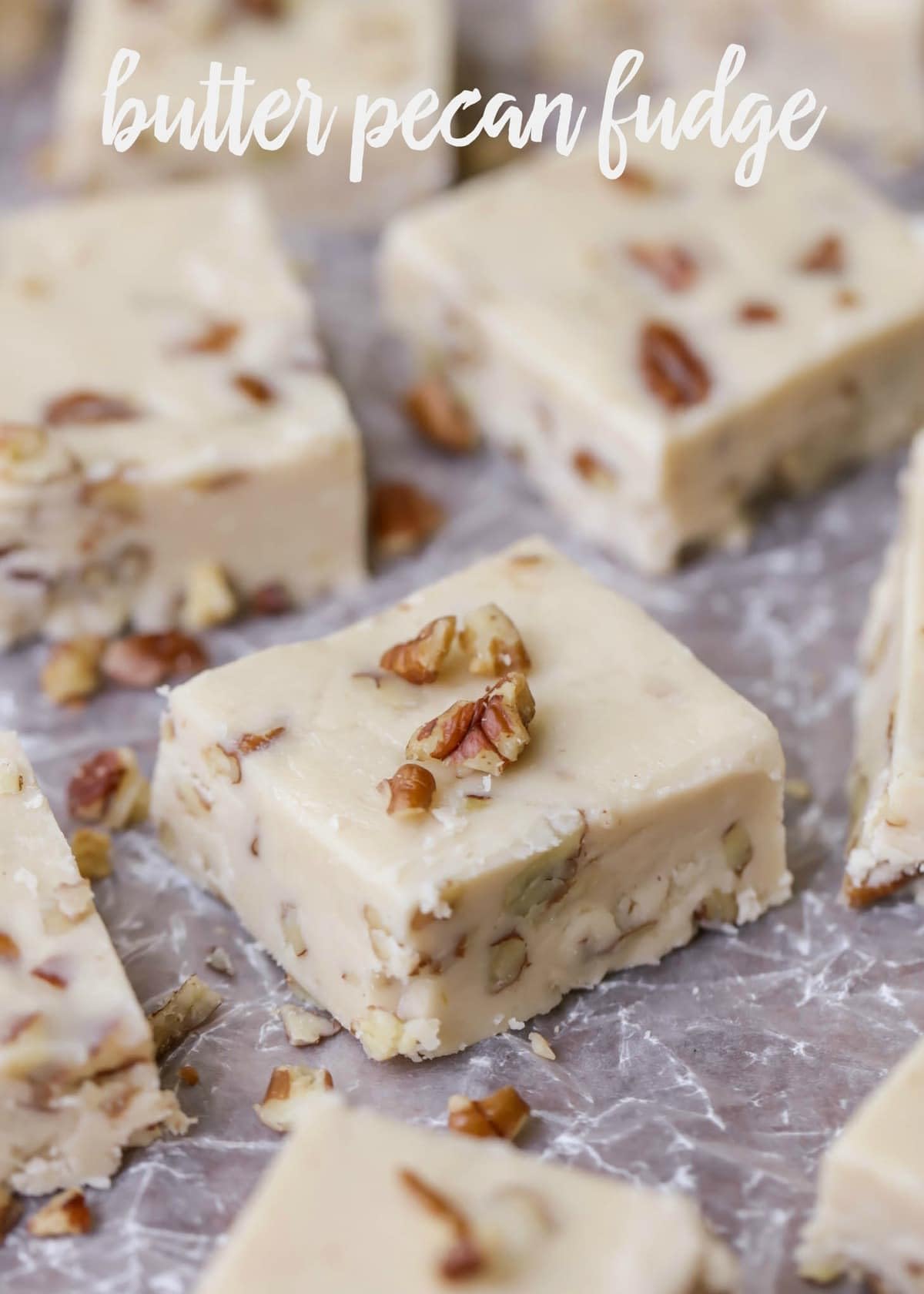 8oz. Nuts to You Smooth and Creamy Butter Pecan Kettle Fudge | Fresh Gourmet Candy | Decadent and Delicious Handcrafted Fudge
