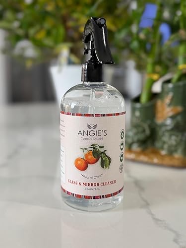 Angie's Special Touch Natural Glass & Mirror Cleaner, 99% Naturally Derived, No Harsh Chemicals, 16 fl oz