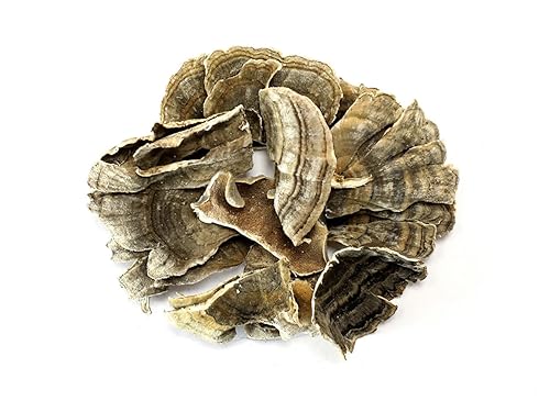 Essential Spice Dried Turkey Tail Mushrooms - Whole Slices, Mild Earthy Flavor - Traditional Functional Mushroom for Teas, Tinctures, Broths