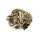 Essential Spice Dried Turkey Tail Mushrooms - Whole Slices, Mild Earthy Flavor - Traditional Functional Mushroom for Teas, Tinctures, Broths
