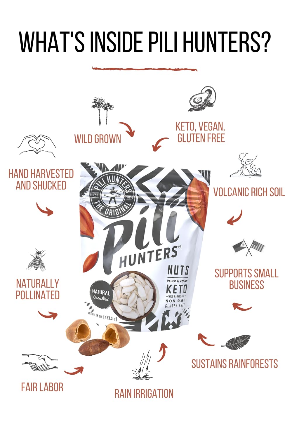 Pili Hunters - Wild Sprouted Pili Nuts, Natural Unsalted Plain (1 lb Bag) Keto/Paleo/Vegan Snacks, Low Carb Energy, Gluten Free, No Sugar Added