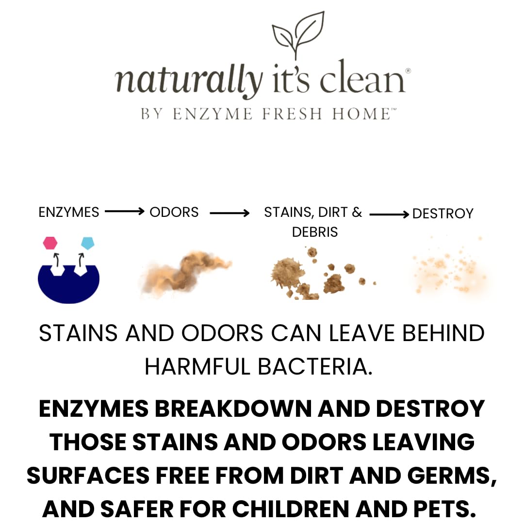 naturally it's clean Floor Enzyme Floor Cleaner | 24 Gallon Rinse Free Concentrate | 2 Pack