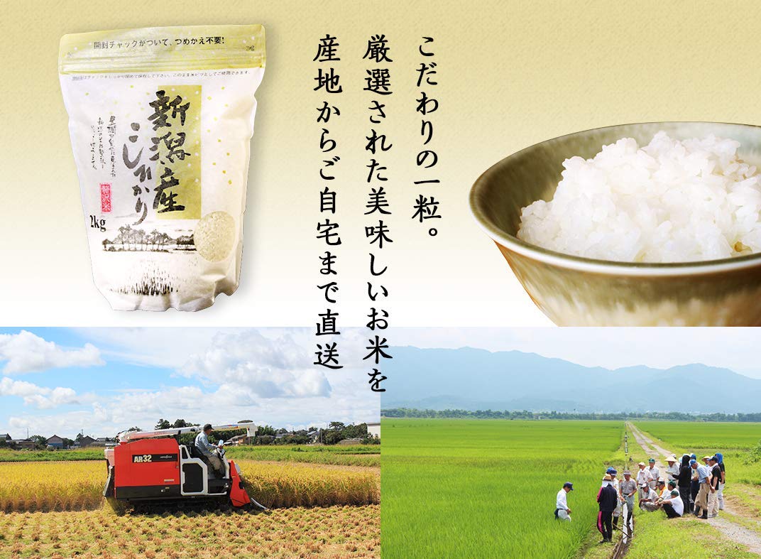 Luxury Koshihikari (?????) Short Grain White Rice (New Corp), Grown in Popular Rice Region Niigata Prefecture, Japan | ?????????, ??? - 4.4 Pound