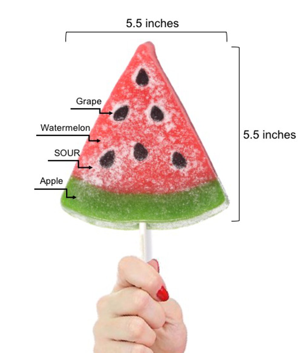 The Gummy Bear Guy | Sour Gummy Watermelon Slice