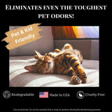 Carpet Deodorizer & Freshener Powder - Upholstery, Couch & Rug Odor Eliminator for Strong Odor & Pet Urine | Baking Soda Formula | Lilac in Full Bloom