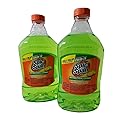 Spic & Span Spic And Span Everyday Multipurpose Liquid Cleaner, Dilutable Multi-Surface & Floor Cleaner Refills, Fresh Citrus Scent - Two 20 FL OZ