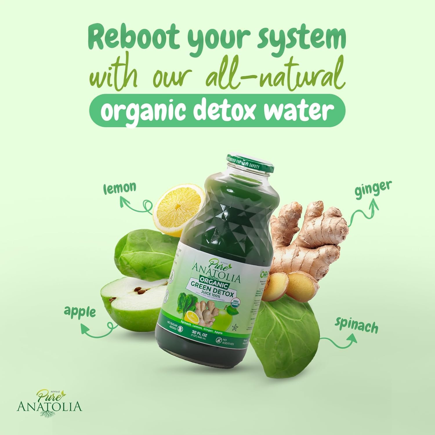 Pure Anatolia Organic Green Juice Detox Blend 32 fl oz - Cold Pressed Vegetable & Fruit Drink with Spinach, Apple, Ginger, Lemon - Fresh Pressed