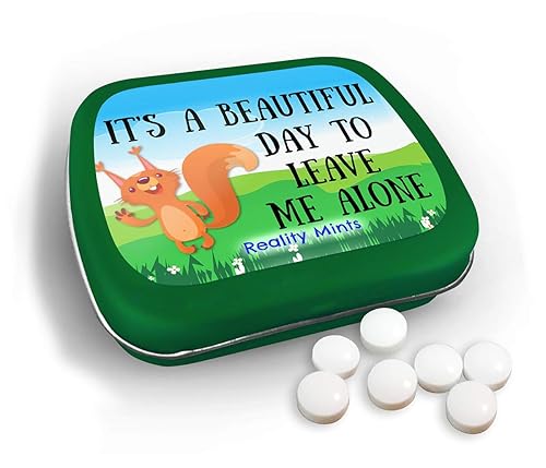 It's A Beautiful Day To Leave Me Alone Mints - Wintergreen Breath Mints - Novelty Candy Gift for Women - Hinged Collectible Tin of Sugar-Free Candy