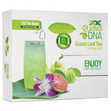 GuavaDNA Guava Leaf Tea Individually Wrapped Teabags by MATCHA DNA | 100% Pure Guava Leaves, Nothing Else Added (120 Teabags)