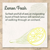 EcoMe Stainless Steel Polish, Multi-Surface Cleaner, Lemon Fresh, 16 oz