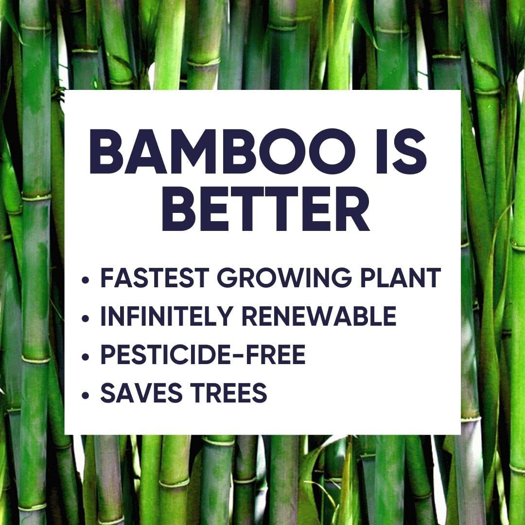 Save Trees Bamboo Toilet Paper, Paper Towels, Tissues, & Swedish Dishcloths - Complete Box - 24 Rolls Bamboo Toilet Paper, 12 Rolls Bamboo Paper