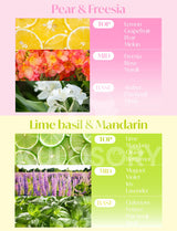 KULOSORY LG Styler Sheets 20 Sheets (Freesia + Lime basil)