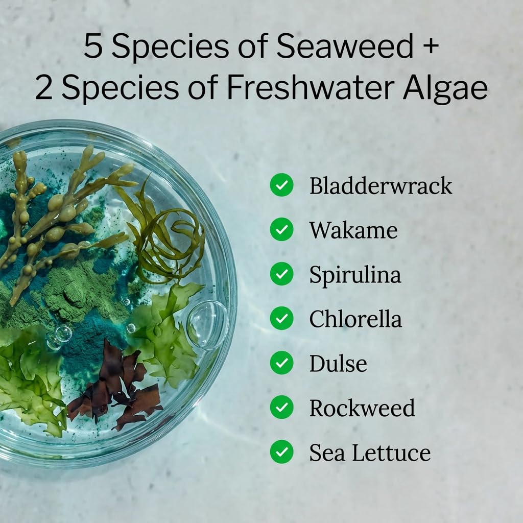 Sea of Greens - Organic Seaweed & Algae Superfood Blend - Spirulina, Chlorella, Bladderwrack, Wakame - Natural Iodine & Fucoidan - Oxalate-Free - 180