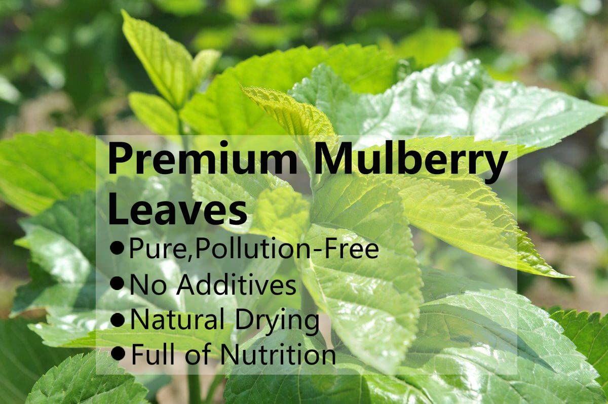 Premium Natural Mulberry Leaf Tea 9 Oz/254.7g, ??? Loose Leaf Tea,No Additives.