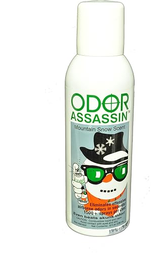 Odor Assassin Odor Eliminator Mountain Snow Scent