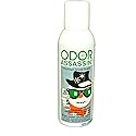 Odor Assassin Odor Eliminator Mountain Snow Scent