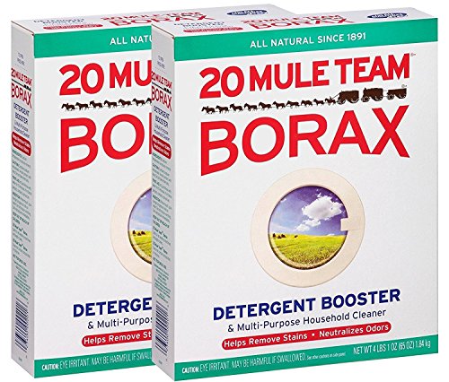 20MULE TEAM BORAX 65OZ