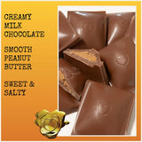 Chocolove Filled Salted Peanut Butter Milk Chocolate Bars | 33% Cocoa | Crafted with Silky Premium Chocolate | Non GMO, Rainforest Alliance Certified