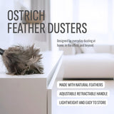 Retractable Feather Duster 8-14 in Adjustable - Natural Ostrich Feather Duster for Cleaning Ceiling Fans, Blinds, Plantation Shutters, Walls