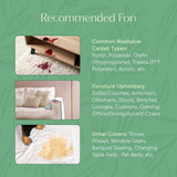 Puracy Carpet Cleaner Solution - Carpet Shampoo, Pet Stain & Odor Remover, Rug & Upholstery Cleaner, 4X Concentrated, Low Foam Shampooer Formula
