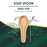 Planet Pantry Disposable Cutlery Wooden Bamboo-Like Paper and Plastic Alternative Eco-Friendly for Food, Party, Buffet (5" Soup Spoon, 25)