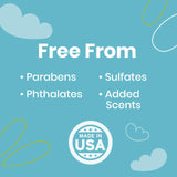 Good Salt Pet Bird Feeder & Birdhouse Cleaner, Natural Bird-Friendly Spray Formula, Made in the USA, 32 Ounce Bottle, 2-Pack