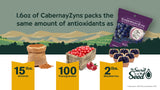 Wine RayZyn® Crunchy Chocolate CabernayZyn® Wine Raisins® 1.25 oz (Pack of 2) in a PrimeTime Direct Sealed Bag