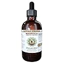 Magnolia Alcohol-Free Liquid Extract, Magnolia (Magnolia Virginiana) Dried Bark Glycerite Natural Herbal Supplement, Hawaii Pharm, USA 2 oz