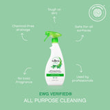 AspenClean | All-Purpose Spray Cleaner | Streak-Free Multi-Surface Cleaner with Essential Oils | Non - Toxic | 100% Natural | EWG Verified | Pack of 2