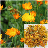 Calendula Flowers, 8oz, soap Making Supplies, Also for Herbal extracts, tinctures, teas, salves, Creams, lotions or Lip balms.