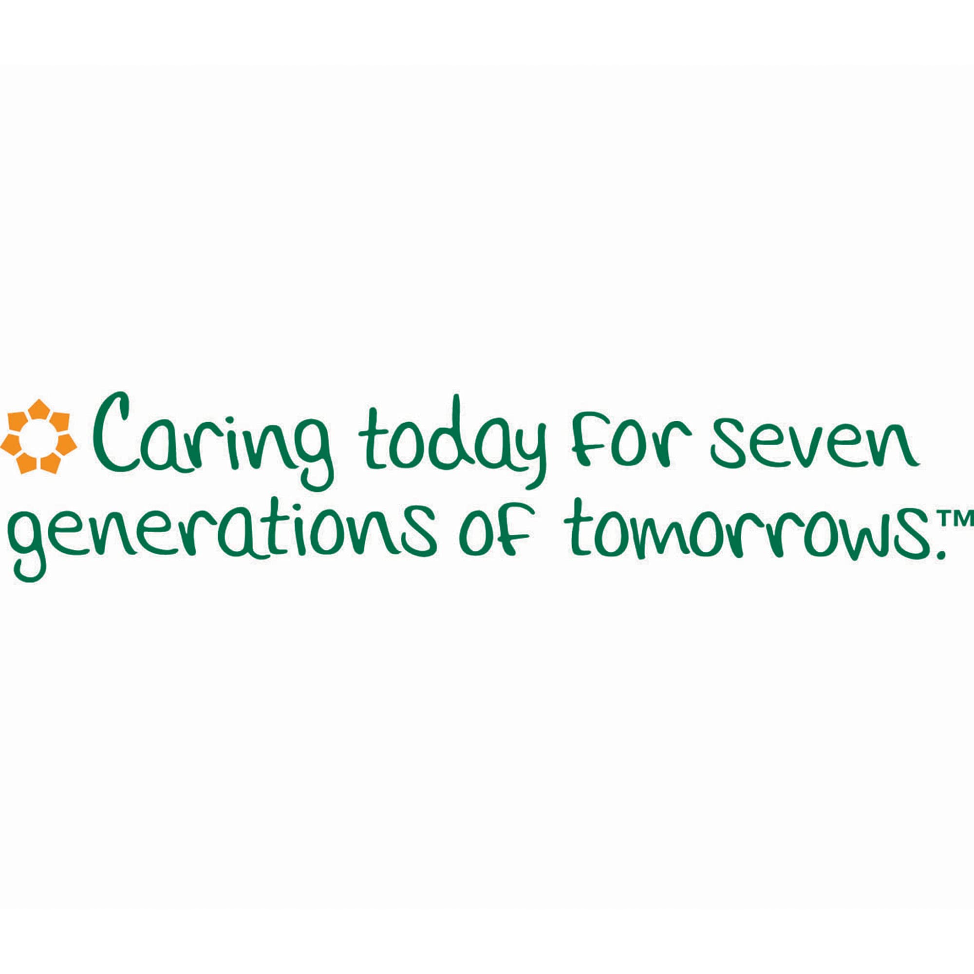 Seventh Generation 100% Recycled Paper Kitchen Towel Rolls, 2-Ply, 11 x 5.4, 156 Sheets/Roll, 8 Rolls/Pack