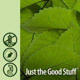 Nature's Answer Slippery Elm | Super Concentrated Herbal Supplement | Promotes Healthy Hair & Skin | Aids in Digestion | Kosher, No Gluten & Low