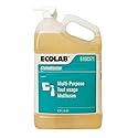 ECOLAB 6100371 Stain Blaster Multi-Purpose 4.73 Liters (5 Qt) One (1) Bottle Per Order