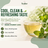 Organic Spearmint Tea Bags 100 Count - Spearmint Herbal Tea - Caffeine Free Mint Tea - Fresh, Smooth and Naturally Refreshing - Eco-Conscious