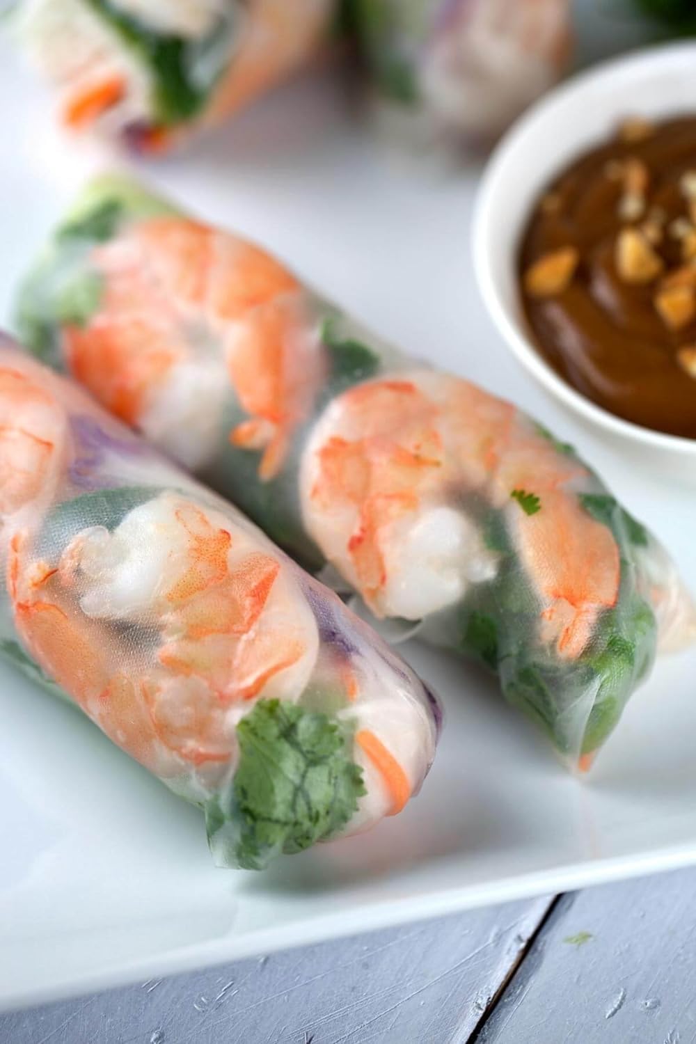 Three Ladies Brand Natural Gluten Free Spring Roll Rice Paper Wrappers - Pick your size and quantity! (10-Pack, 22cm)