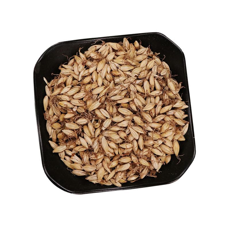 Zercumm Raw Malt 500G Barley Malt Fried Malt Light Wheat Huai Wheat Sulfur-Free