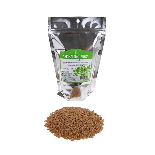 Handy Pantry Organic Spelt Seeds - Whole Ancient Grain for Baking, Juicing, Microgreens, Food Storage - 1 lb Resealable Bag - Non-GMO, Unprocessed