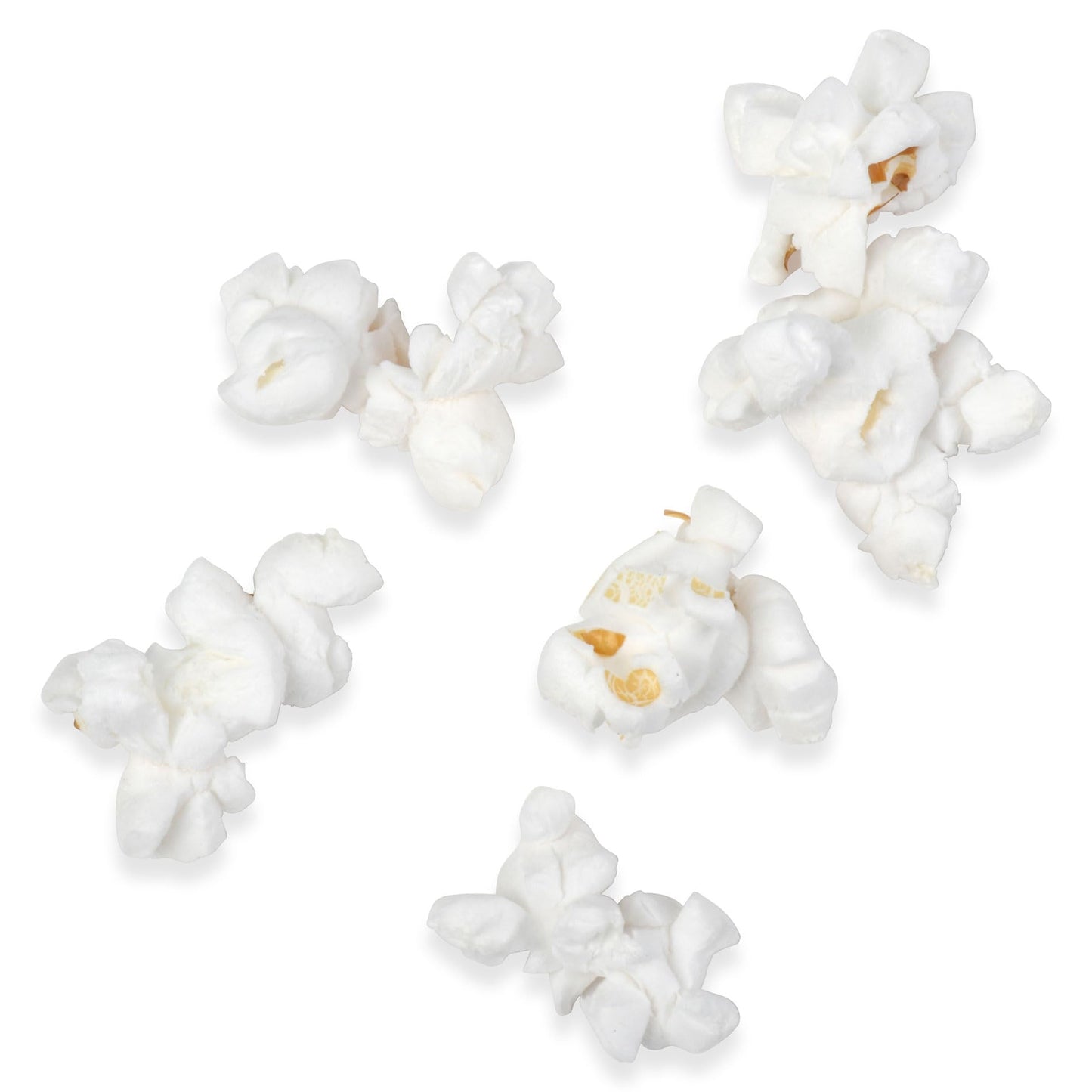 Princeton Popcorn White Butterfly Hulless Popcorn Kernels - Easy-Eating, Small Tender Popping Corn, Non-GMO Popcorn Kernels, No Hulls, Farmer Direct