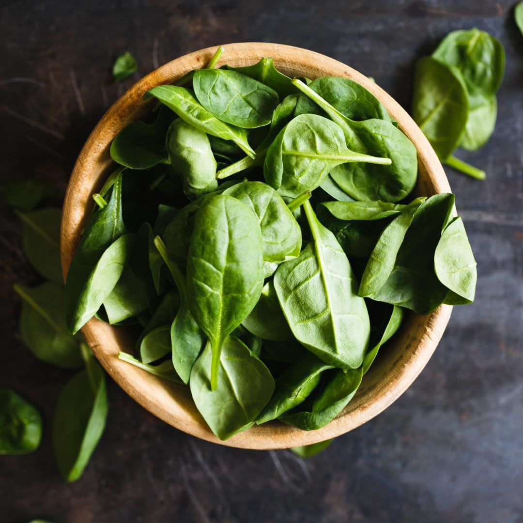 Olive & Vine Basil Leaves, Fresh Herbal Flavor, Seasoning for Pasta, Pesto, Salads, Rich Tradition, Authentic Taste, For Global Recipes (1.28 Ounce)