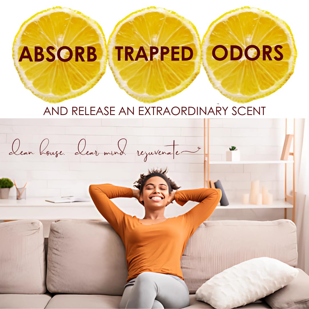 Saturday Morning Fresh | Carpet Odor Eliminator & Deodorizing Powder | Bright Lemon Zest | Safe & Gentle for Households with Pets & Children