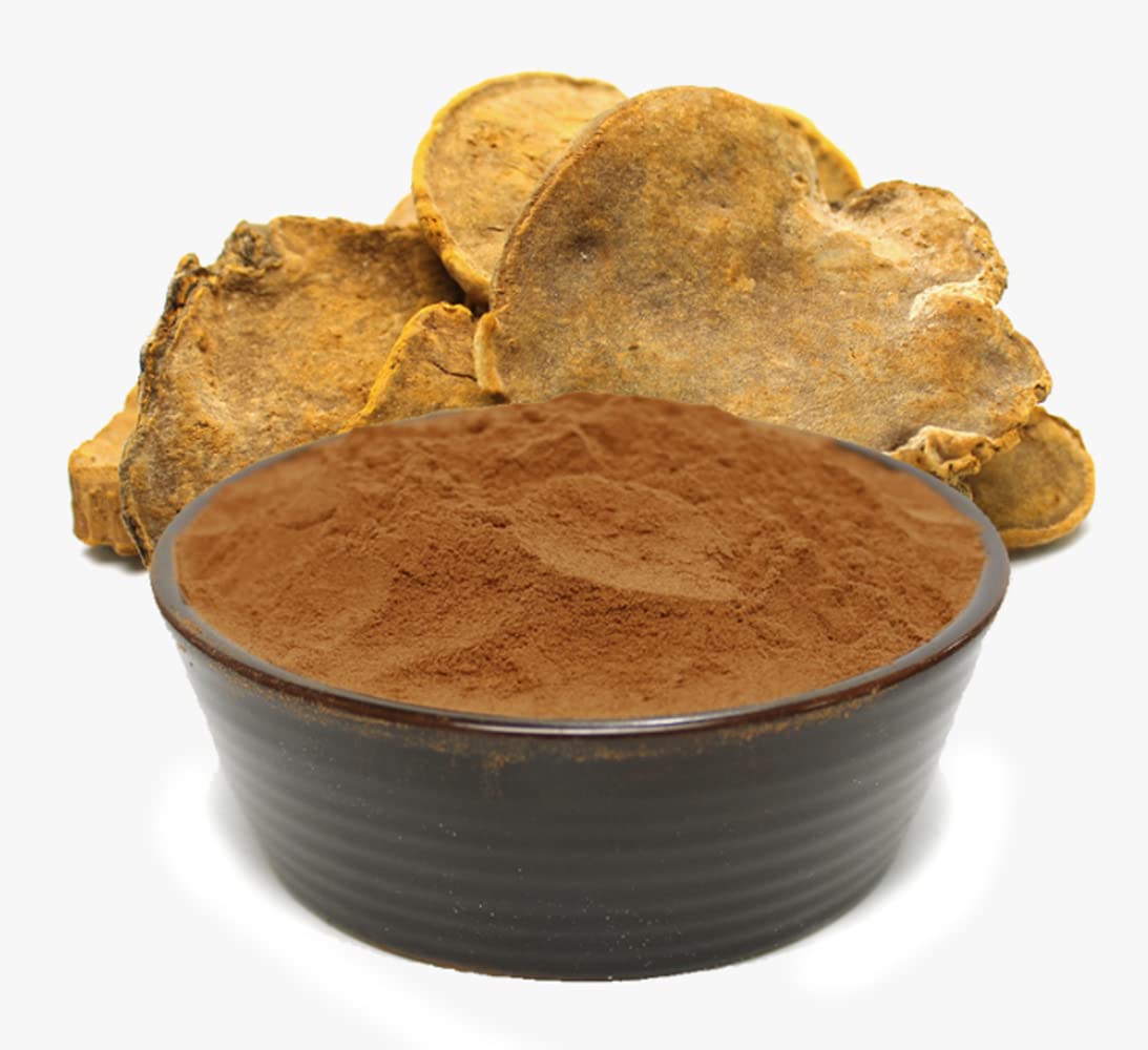 Organic Natural Pure Phellinus linteus Extract Powder-7.05 Ounce (200g)