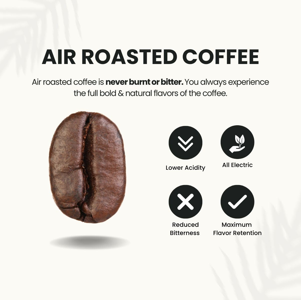 Canopy Point Coffee | Chiapas Mexico Light Roast | Peach & Honeycomb Notes | Arabica Single Origin | Specialty Blonde Roast | Air Roasted (Whole Bean