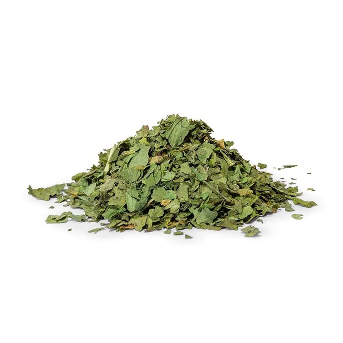 NY SPICE SHOP Cilantro Flakes - Piquant and Aromatic Seasoning for Broths, Sauces, Dressings and Stews - Leaves, Dried and Cut Cilantro Flakes Crushed