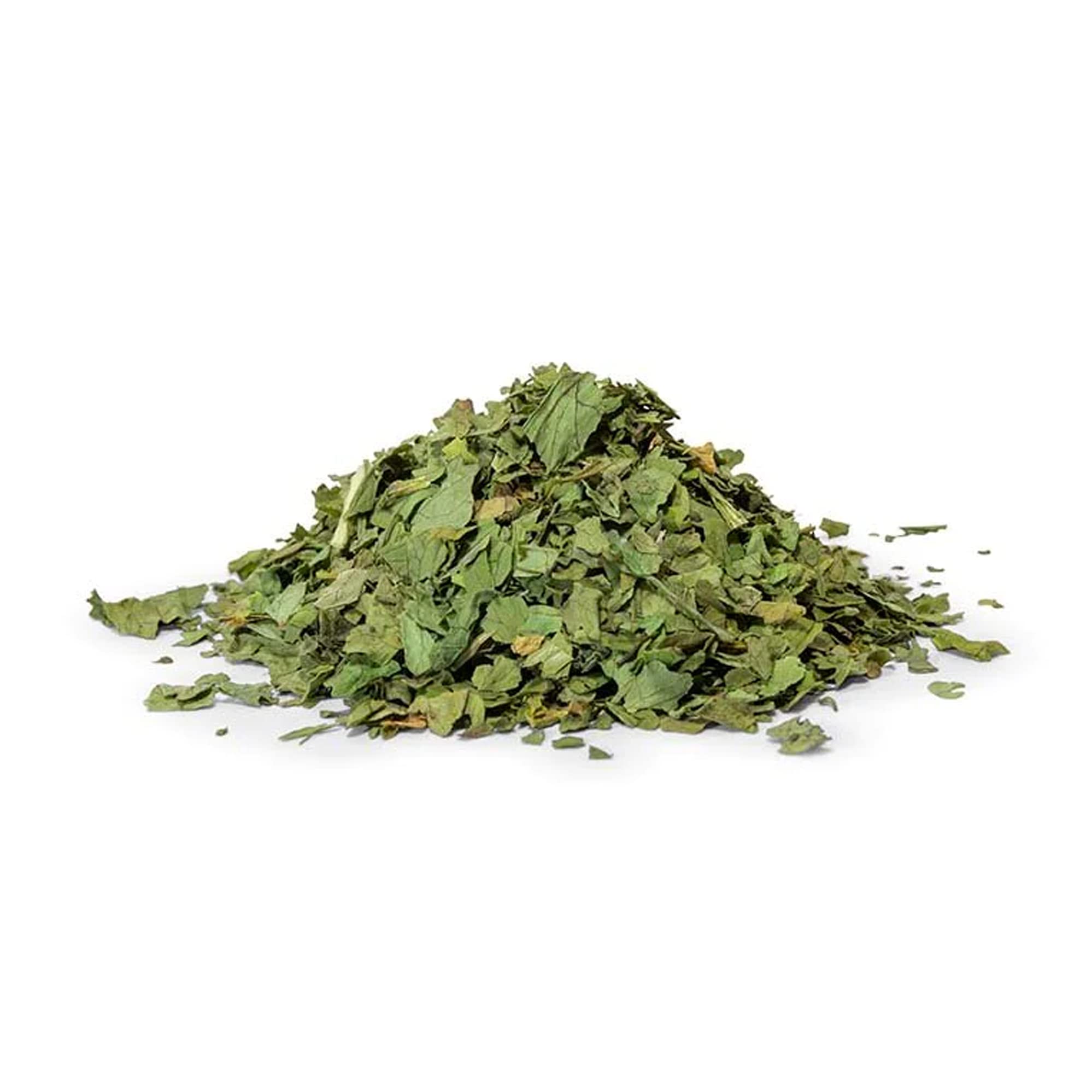 NY SPICE SHOP Cilantro Flakes - Piquant and Aromatic Seasoning for Broths, Sauces, Dressings and Stews - Leaves, Dried and Cut Cilantro Flakes Crushed