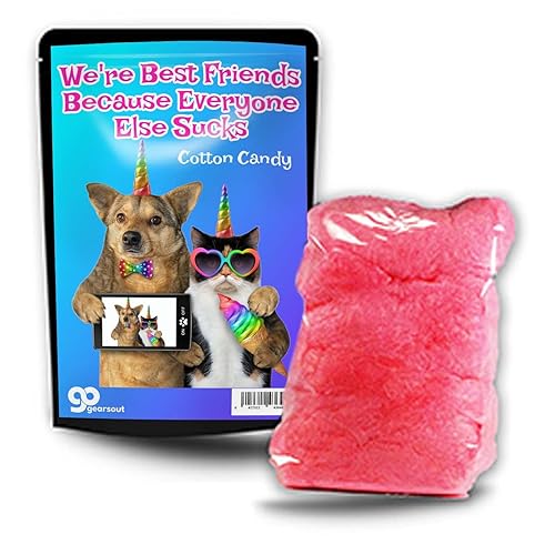 Best Friends Because Everyone Else Sucks Cotton Candy - Pink, Gluten Free - Funny Gift for BFF - Gift Basket Filler, Valentines for Friends, BFF